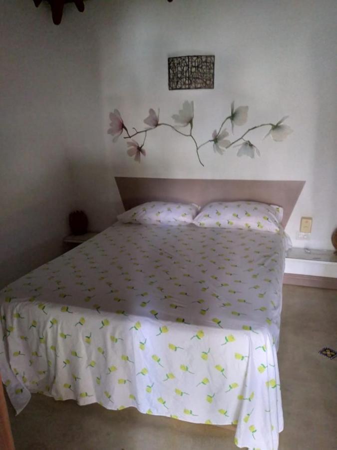 Casa Flamingo Villa Las Terrenas Kültér fotó