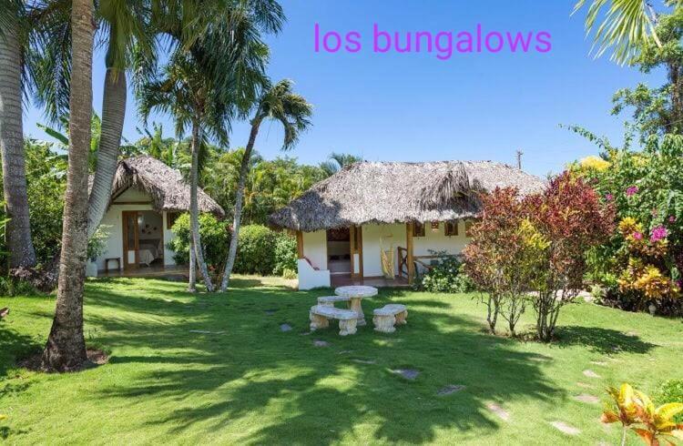 Casa Flamingo Villa Las Terrenas Kültér fotó