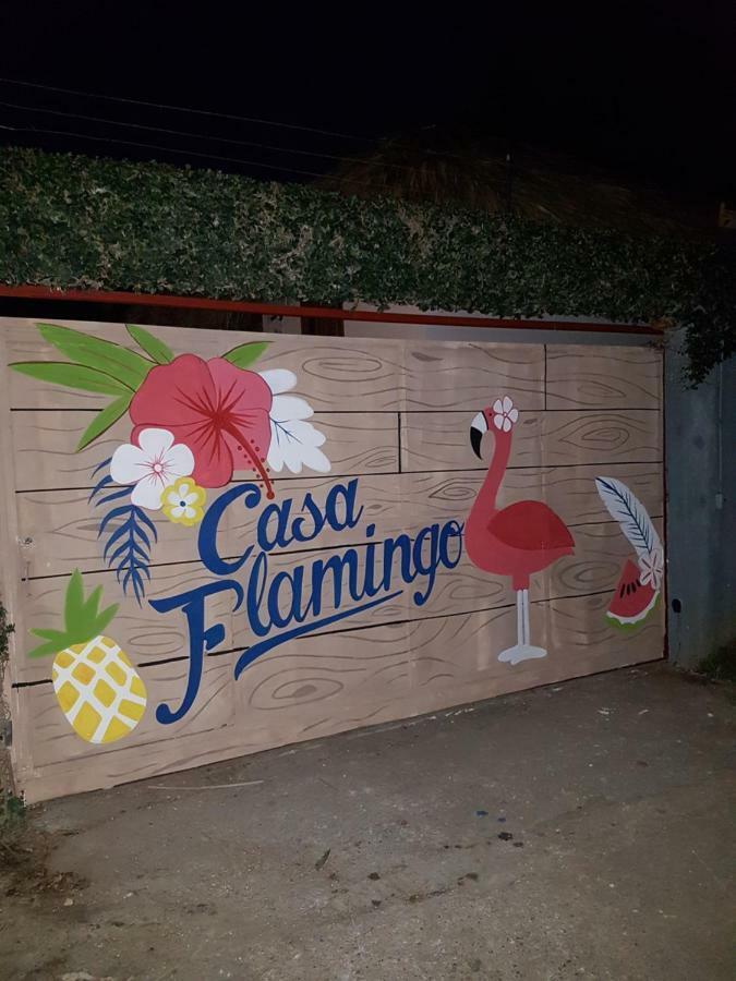 Casa Flamingo Villa Las Terrenas Kültér fotó