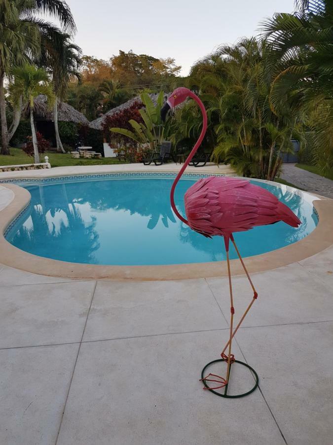 Casa Flamingo Villa Las Terrenas Kültér fotó