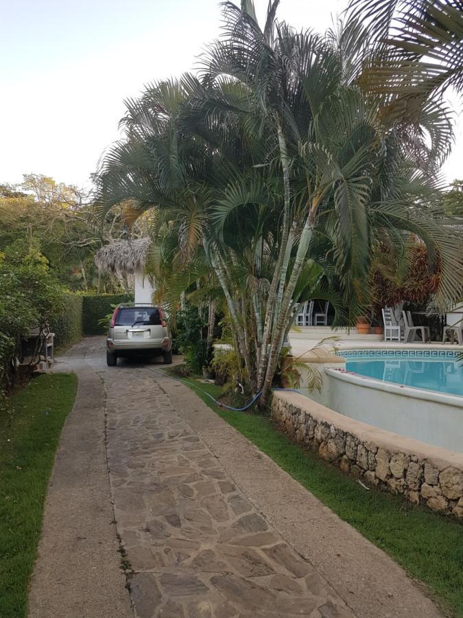Casa Flamingo Villa Las Terrenas Kültér fotó