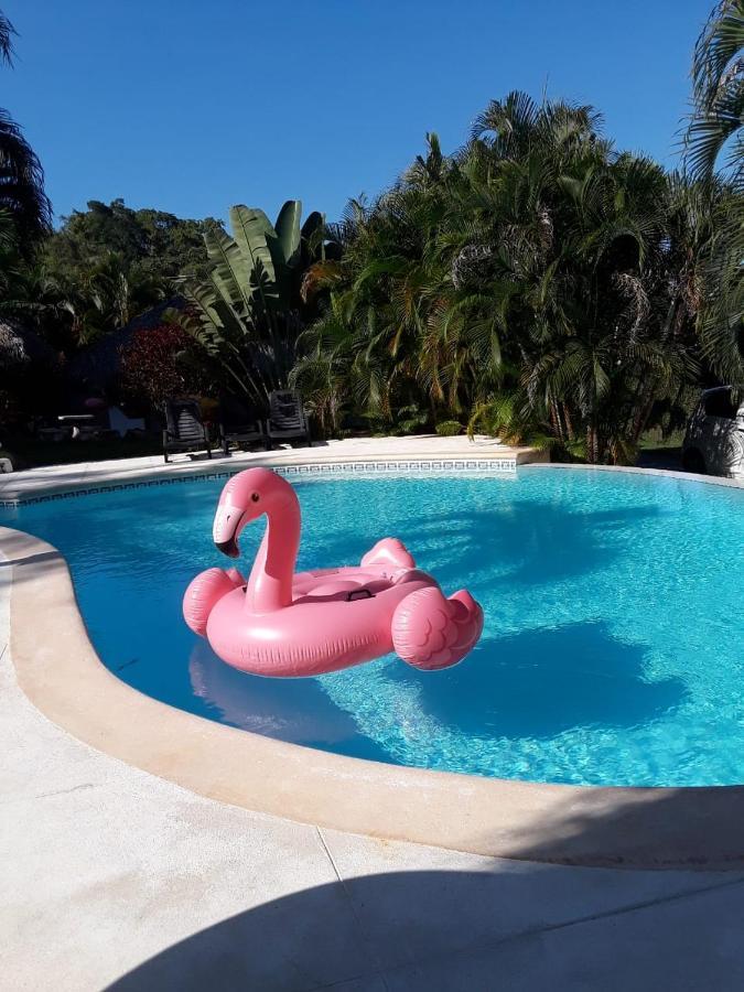 Casa Flamingo Villa Las Terrenas Kültér fotó